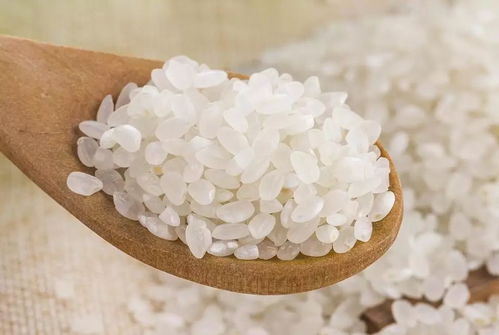 適糖米與咖啡 開啟健康生活新篇章，助力邁向無糖時代